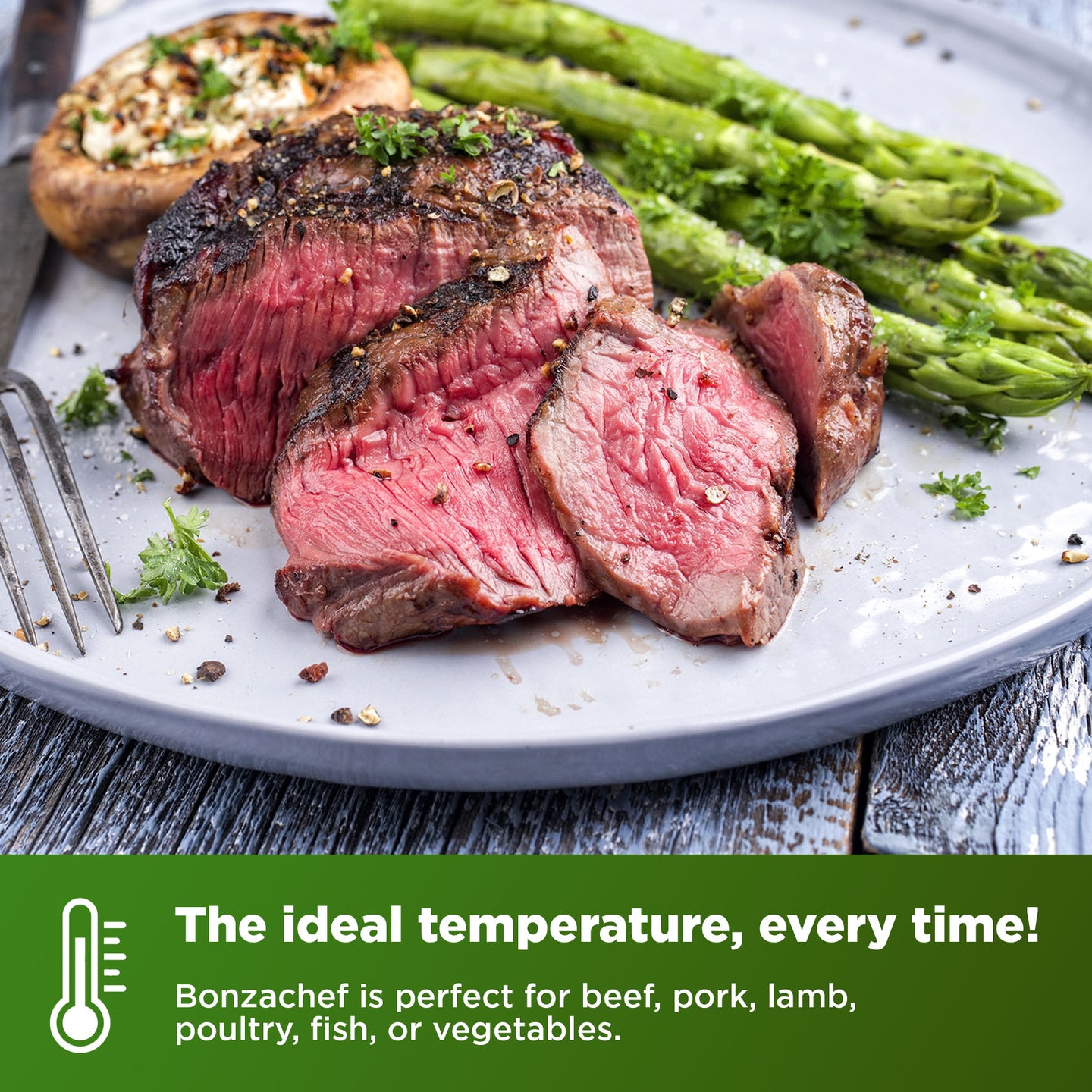 Bonzachef Professional Grade Sous Vide Precision Cooker detail view 4